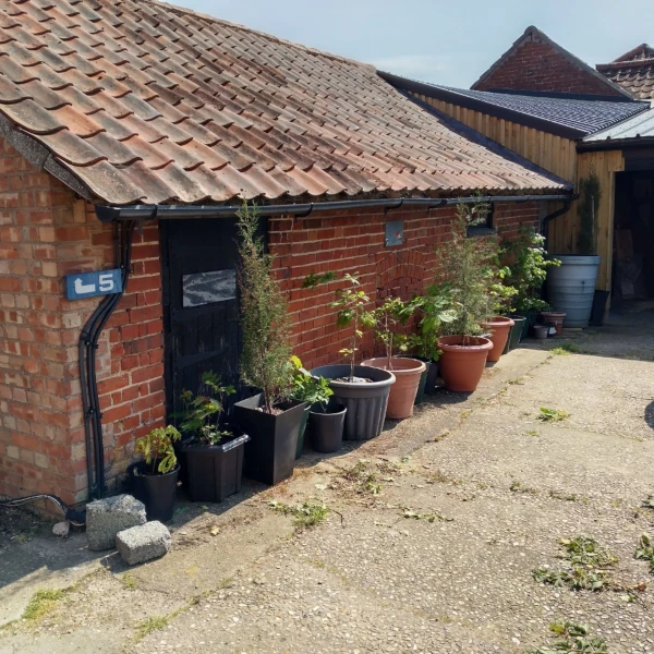 Brick workshop exterior with young trees in plant pots